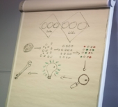 mulher aplicando cynefin framework