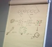 mulher aplicando cynefin framework